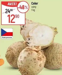 Globus Celer nabídka