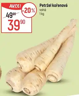 Globus Petržel kořenová nabídka