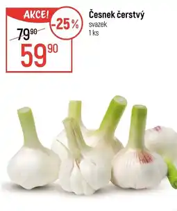 Globus Česnek čerstvý nabídka