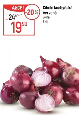 Globus Cibule kuchyňská červená nabídka