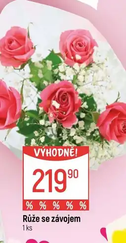 Globus Růže se závojem nabídka