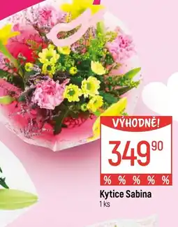 Globus Kytice Sabina nabídka