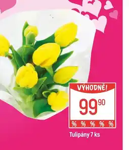 Globus Tulipány nabídka