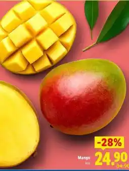 Lidl Mango nabídka