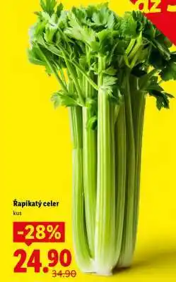 Lidl ŘAPÍKATÝ CELER nabídka