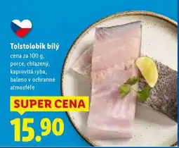 Lidl TOLSTOLOBIK BÍLÝ nabídka