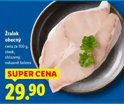 Lidl Žralok obecný nabídka