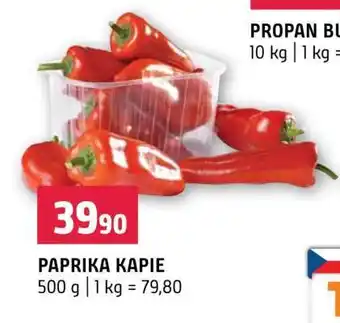 Paprika kapie