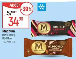 Globus MAGNUM nabídka