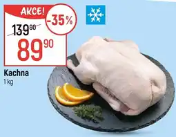 Globus Kachna nabídka