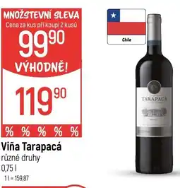 Globus Viña Tarapacá nabídka