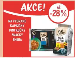 Globus Na vybrané kapsičky pro kočky značky Sheba nabídka