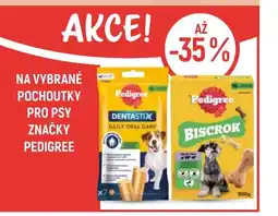 Globus Na vybrané pochoutky pro psy značky Pedigree nabídka