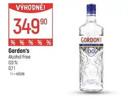Globus GORDON'S nabídka