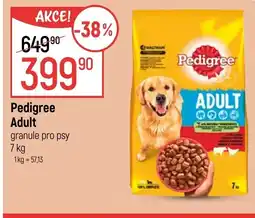 Globus Pedigree Adult nabídka