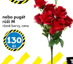 TEDi Nebo pugét růží M nabídka