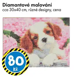 TEDi Diamantové malování nabídka