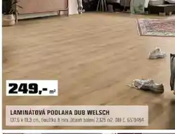 OBI Laminátová podlaha dub welsch nabídka