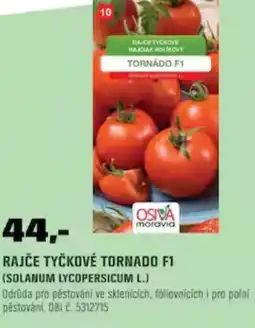 OBI Rajče tyčkové tornado f1 (solanum lycopersicum l.) nabídka