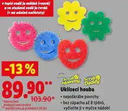 Lidl Uklízecí houba nabídka