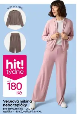 Pepco Velurová mikina nebo tepláky nabídka