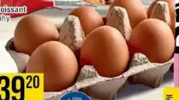 Jip Vejce M nabídka