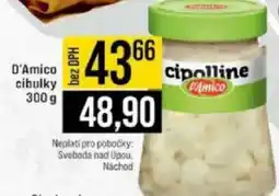 Jip D'Amico cibulky nabídka