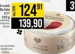Jip Vivaldi Camembert di Bufala nabídka