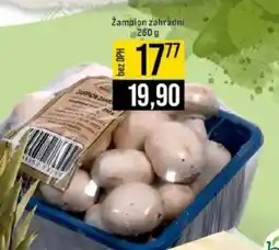 Jip Žampion zahradní nabídka