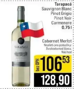 Jip Tarapacá Sauvignon Blanc Pinot Grigio Pinot Noir Carmenere nabídka