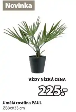 JYSK Umělá rostlina PAUL nabídka