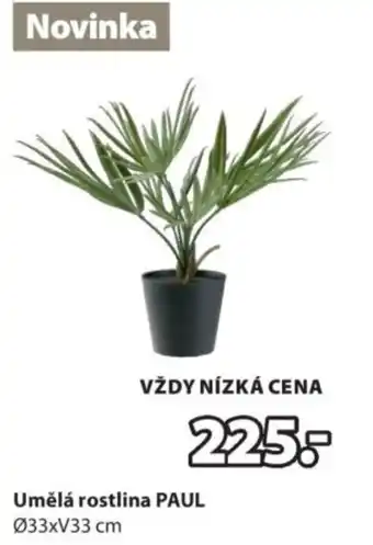JYSK Umělá rostlina PAUL nabídka