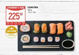 Globus Losos box nabídka