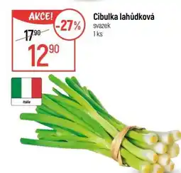 Globus CIBULKA LAHŮDKOVÁ nabídka