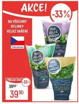 Globus Bylinky Velké Vaření nabídka