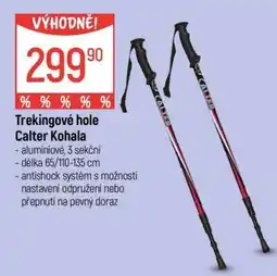 Globus Trekové hole Calter Kohala nabídka