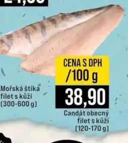 Jip Candát obecný filet s kůží nabídka