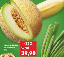 Kaufland Meloun Galia nabídka