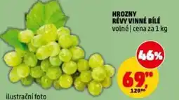 Penny Market Hrozny révy vinné bílé nabídka