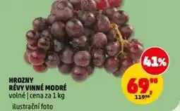 Penny Market Hrozny révy vinné modré nabídka