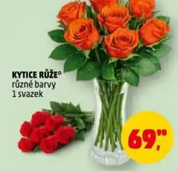 Penny Market Kytice růže nabídka