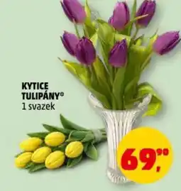Penny Market Kytice tulipány nabídka