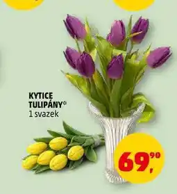 Penny Market KYTICE TULIPÁNY, 1 svazek nabídka