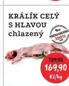 RABBIT řeznictví KRÁLÍK CELÝ S HLAVOU chlazený nabídka