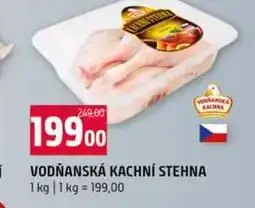 Terno VODŇANSKÁ KACHNÍ STEHNA nabídka