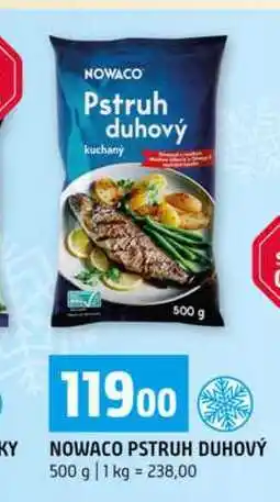 Terno NOWACO PSTRUH DUHOVÝ nabídka