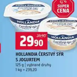 Terno HOLLANDIA ČERSTVÝ SÝR S JOGURTEM 125 g vybrané druhy nabídka