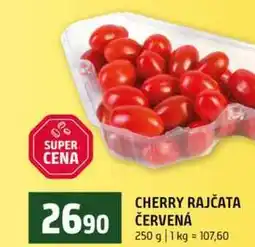 Terno CHERRY RAJČATA ČERVENÁ nabídka