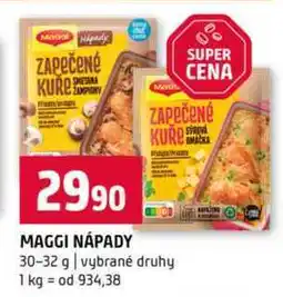 Terno MAGGI NÁPADY 30-32 g vybrané druhy nabídka