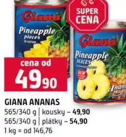 Terno GIANA ANANAS 565/340 g kousky 565/340 g plátky nabídka